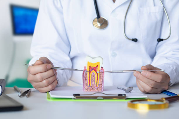 Best Orthodontic Emergency Dentist in North Hills, NY